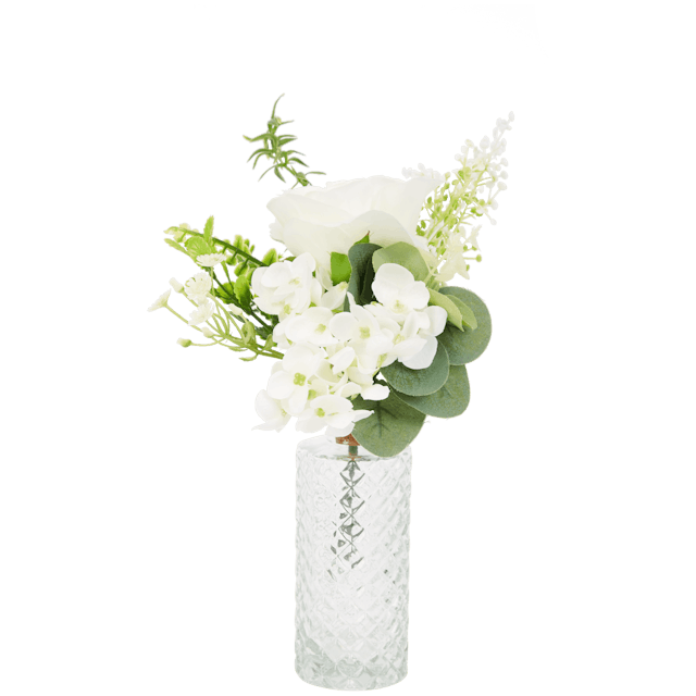 Comment Entretenir une Plante Grasse dans un Vase en Verre ? – Pots de  Fleurs and Co
