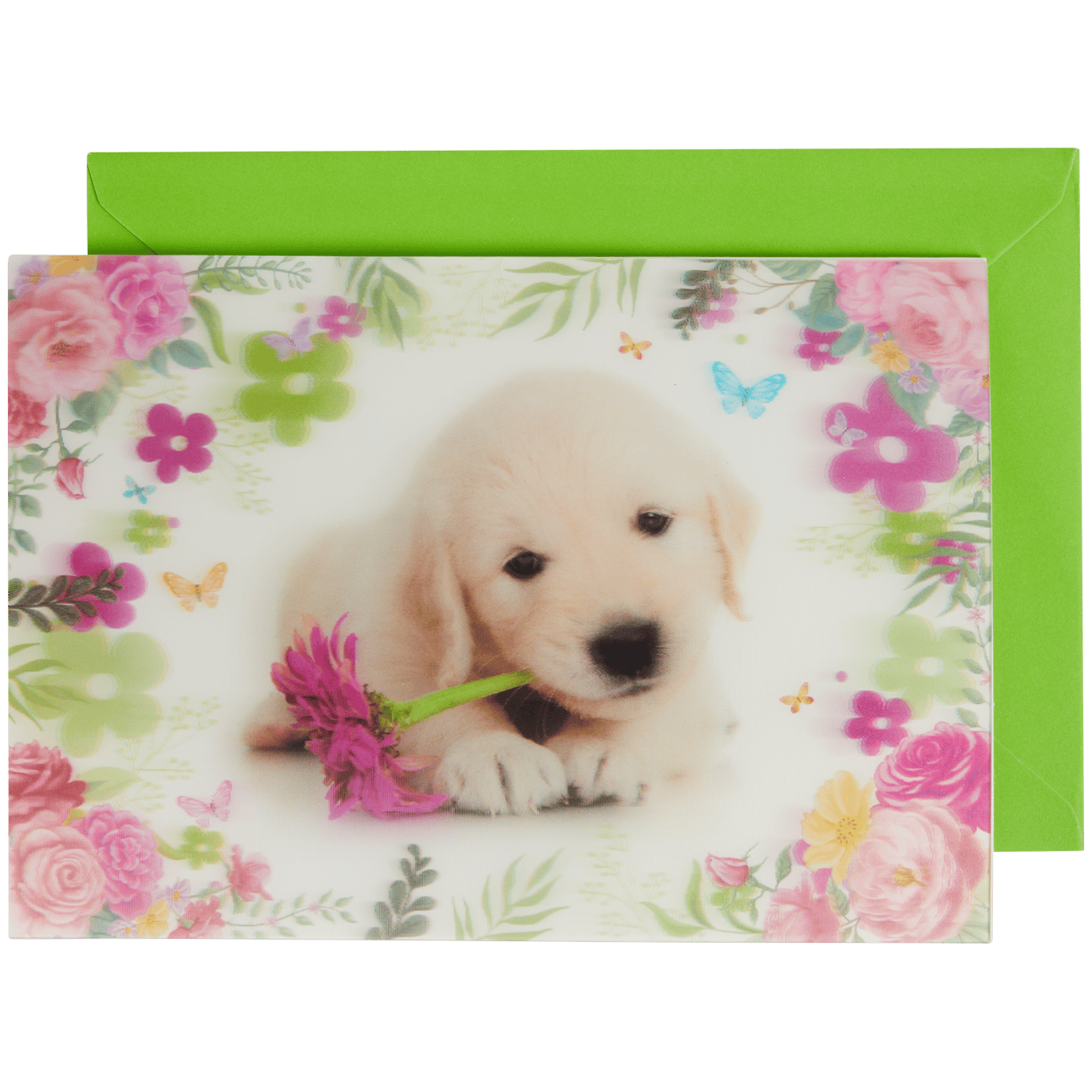 Tarjeta de felicitación lenticular de animales