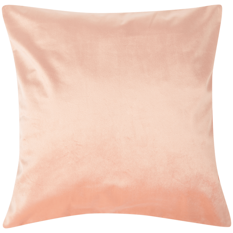 Housse de coussin en velours