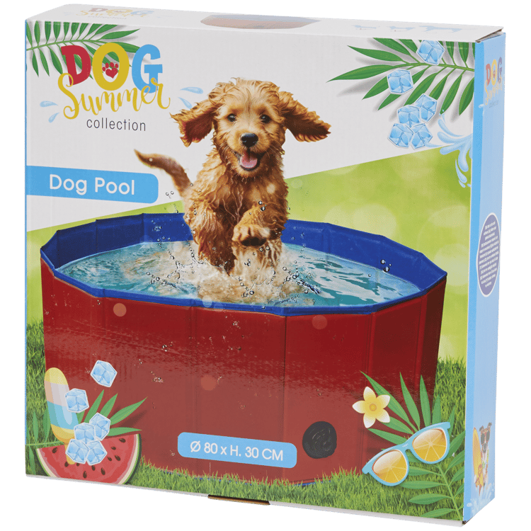 Piscina para cães