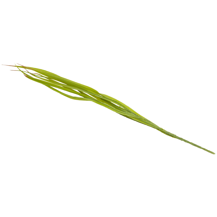Sztuczny pióropusz trawy