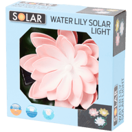 Lilia wodna Solar