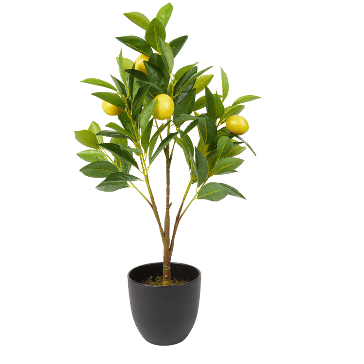 Kunst-citrusboom met pot
