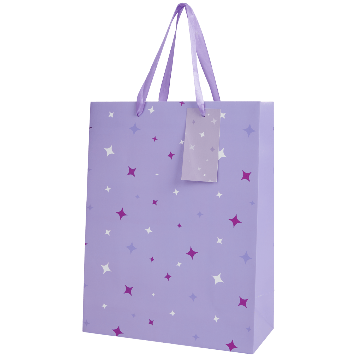 Sac cadeau Craft Universe