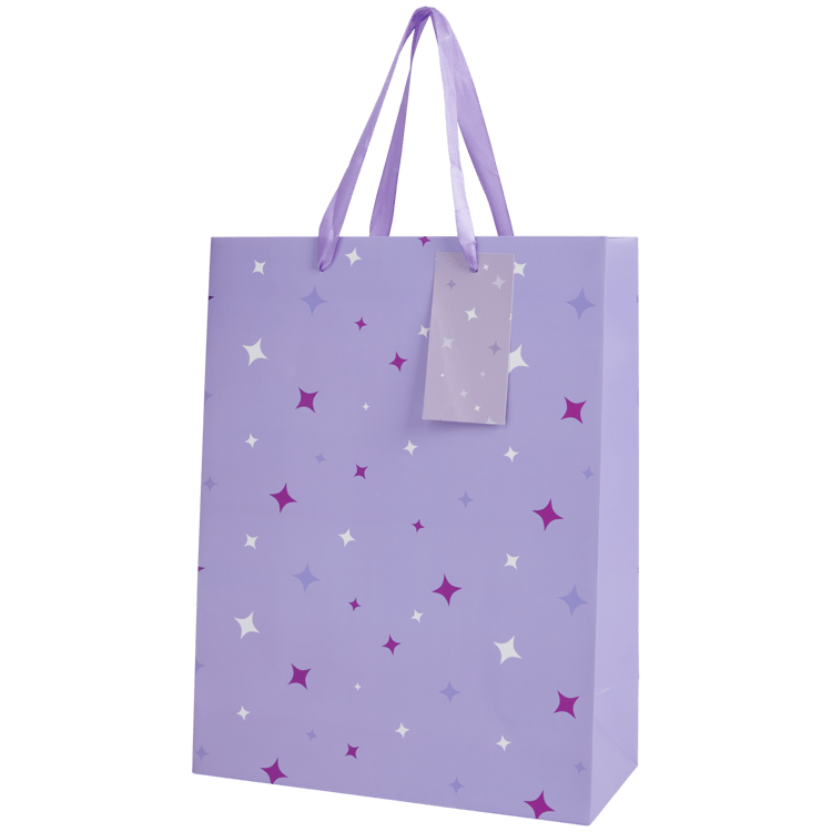 Sac cadeau Craft Universe