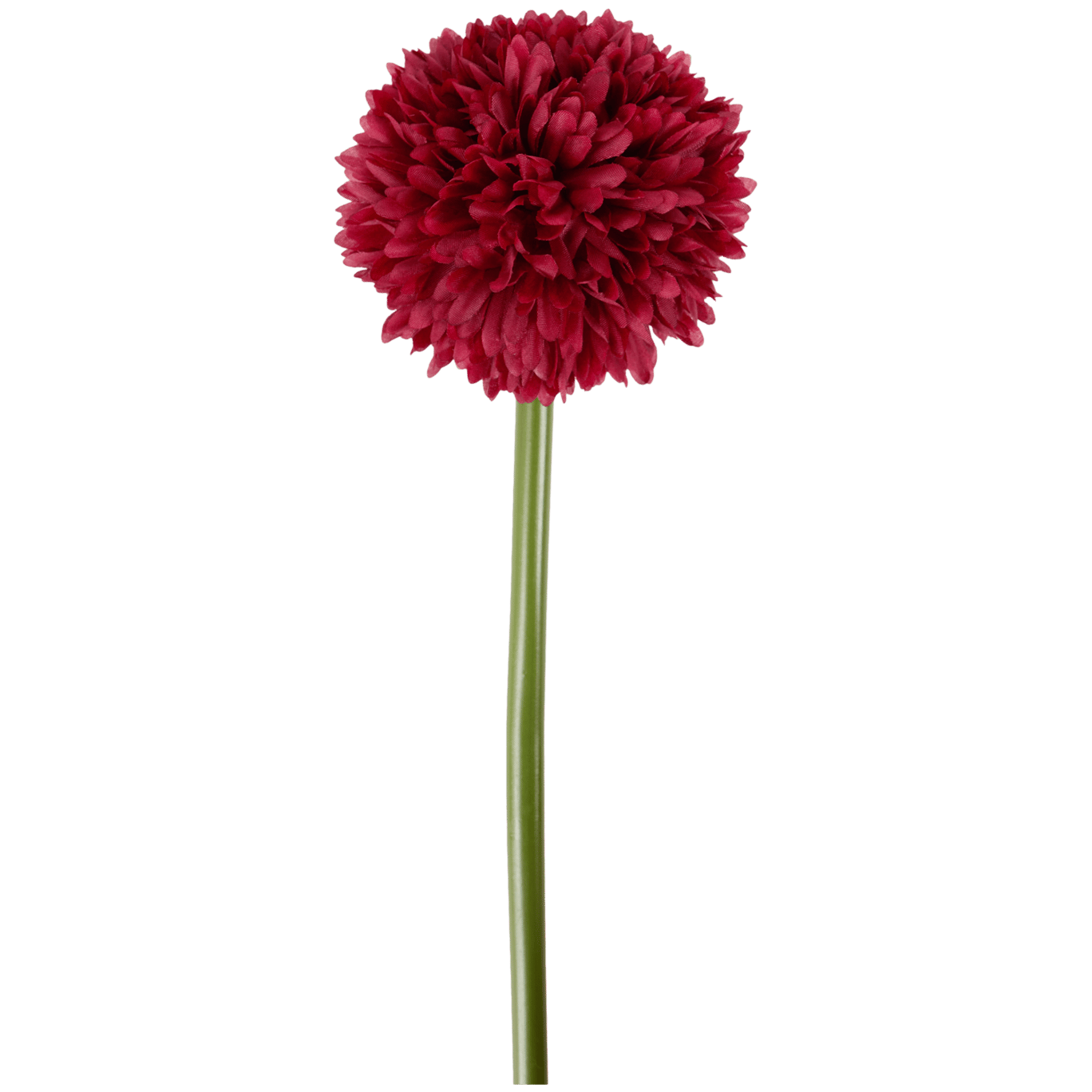 Allium artificial com caule