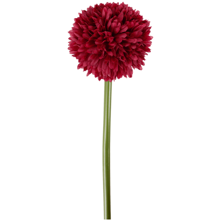 Allium artificial com caule