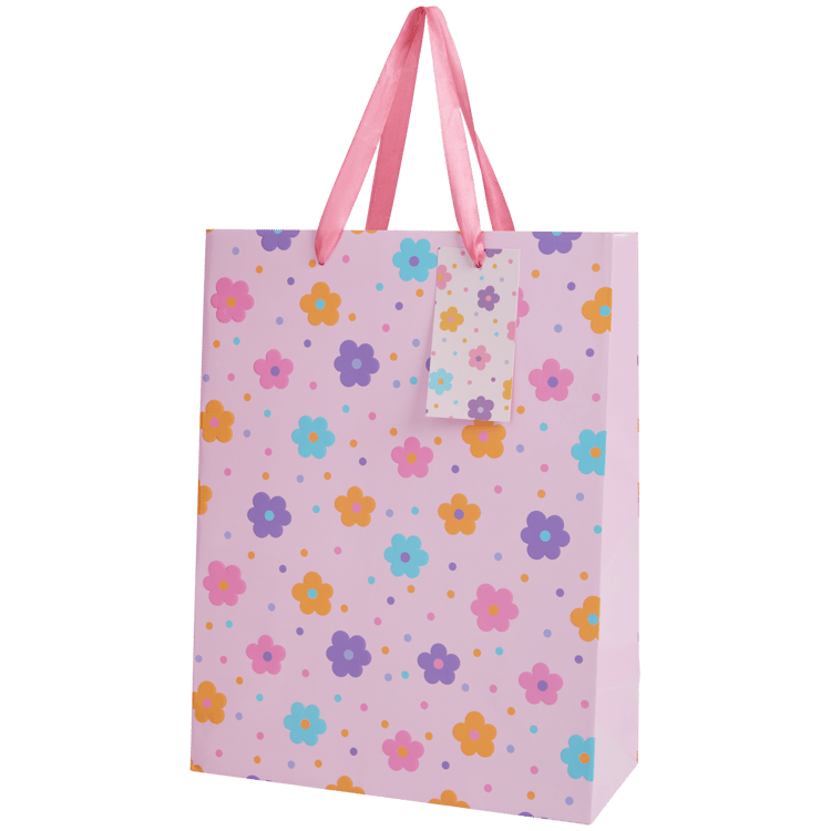 Sac cadeau Craft Universe