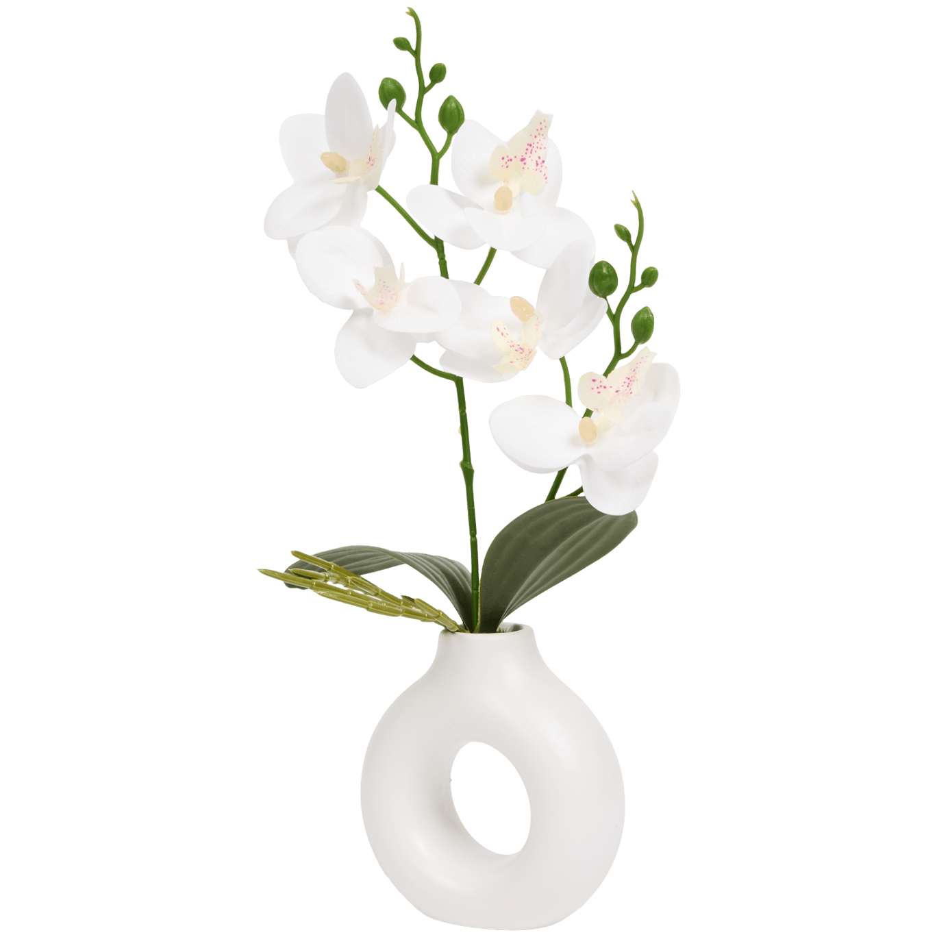 Orchidée dans vase Home Accents