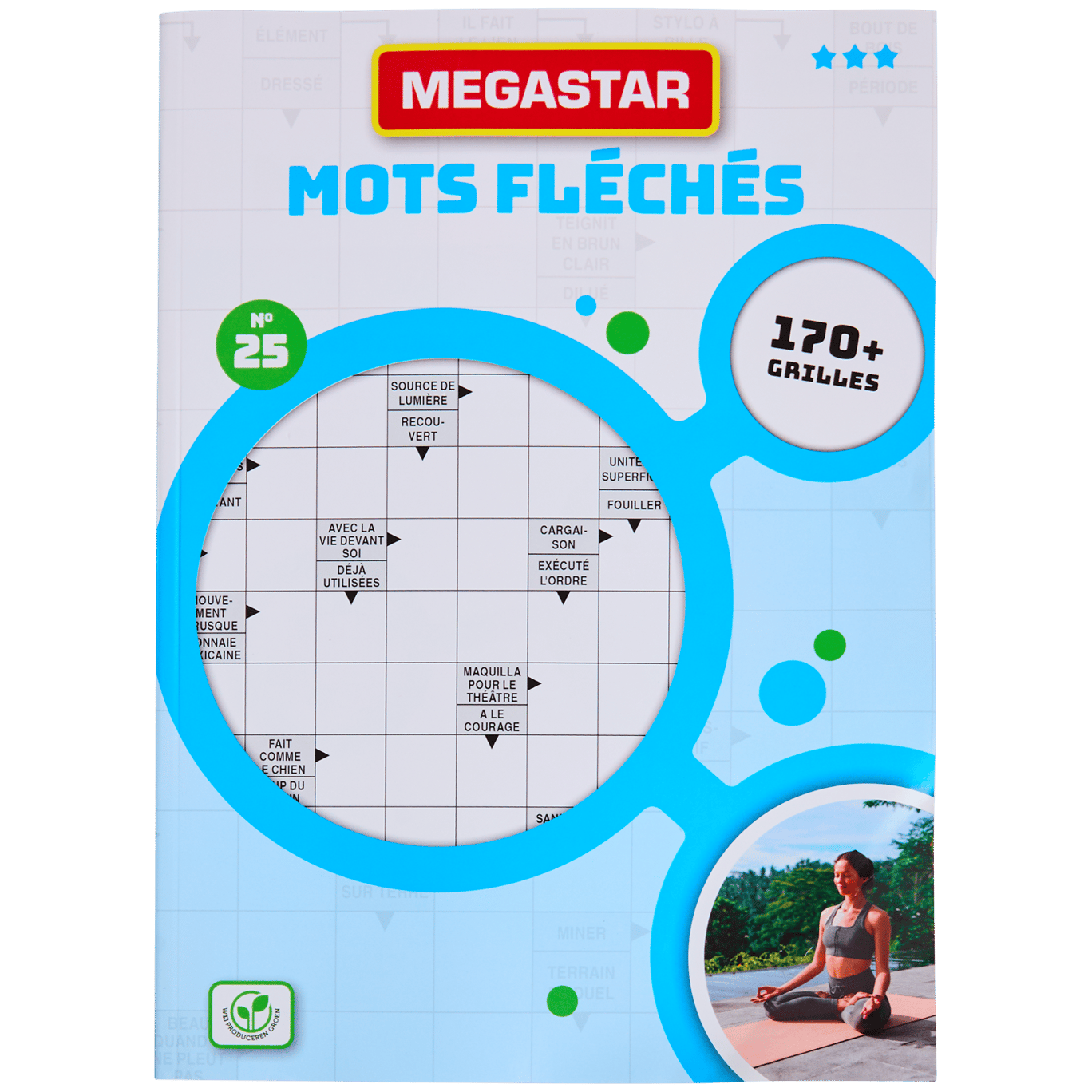 Livre de puzzles cérébraux Megastar 