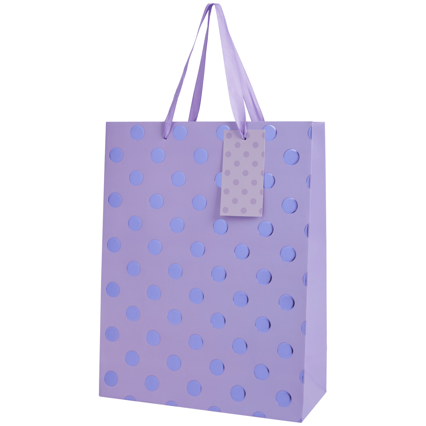 Sac cadeau Craft Universe