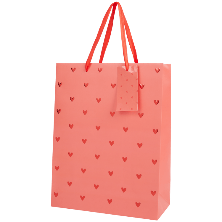 Sac cadeau Craft Universe