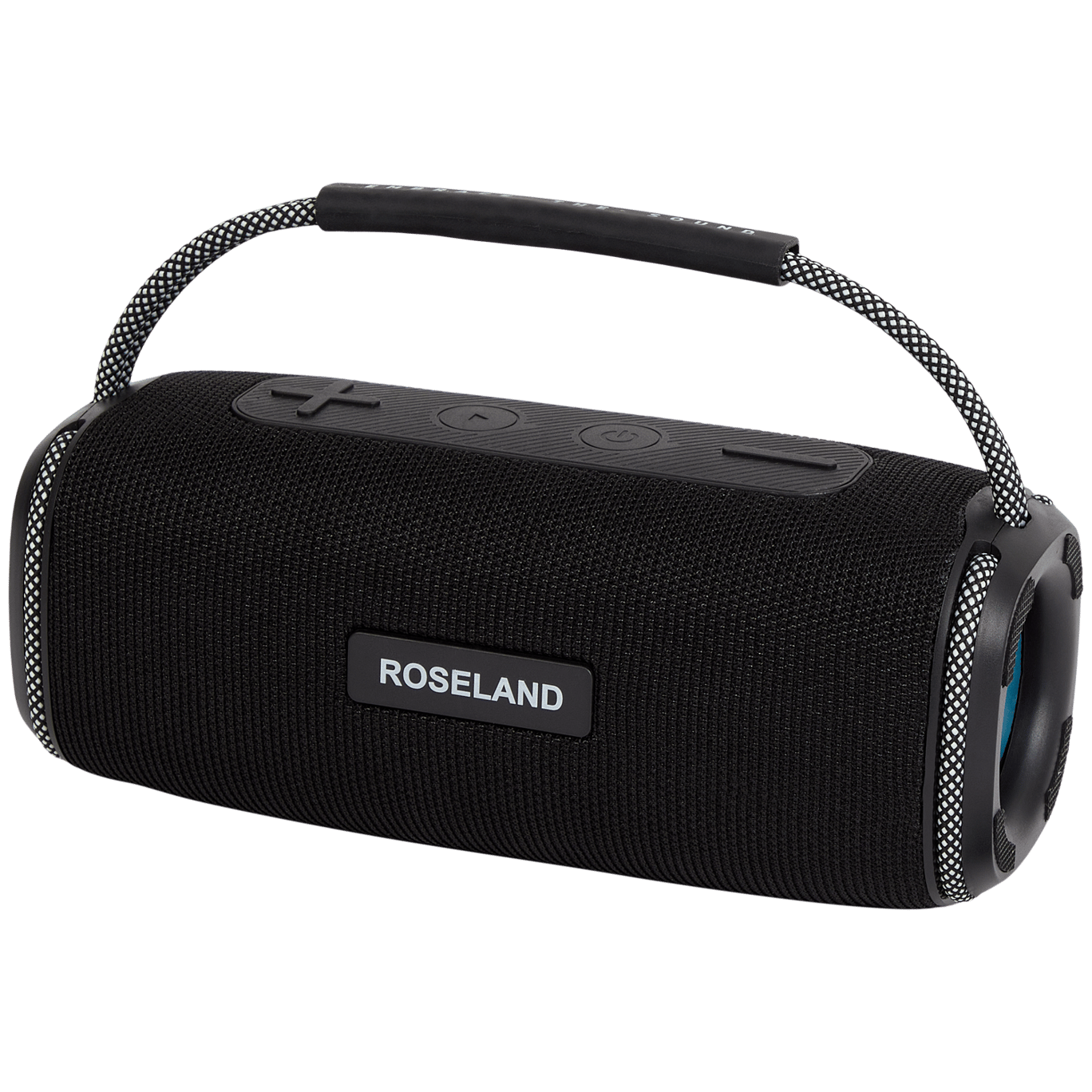 Enceinte Roseland RS-510