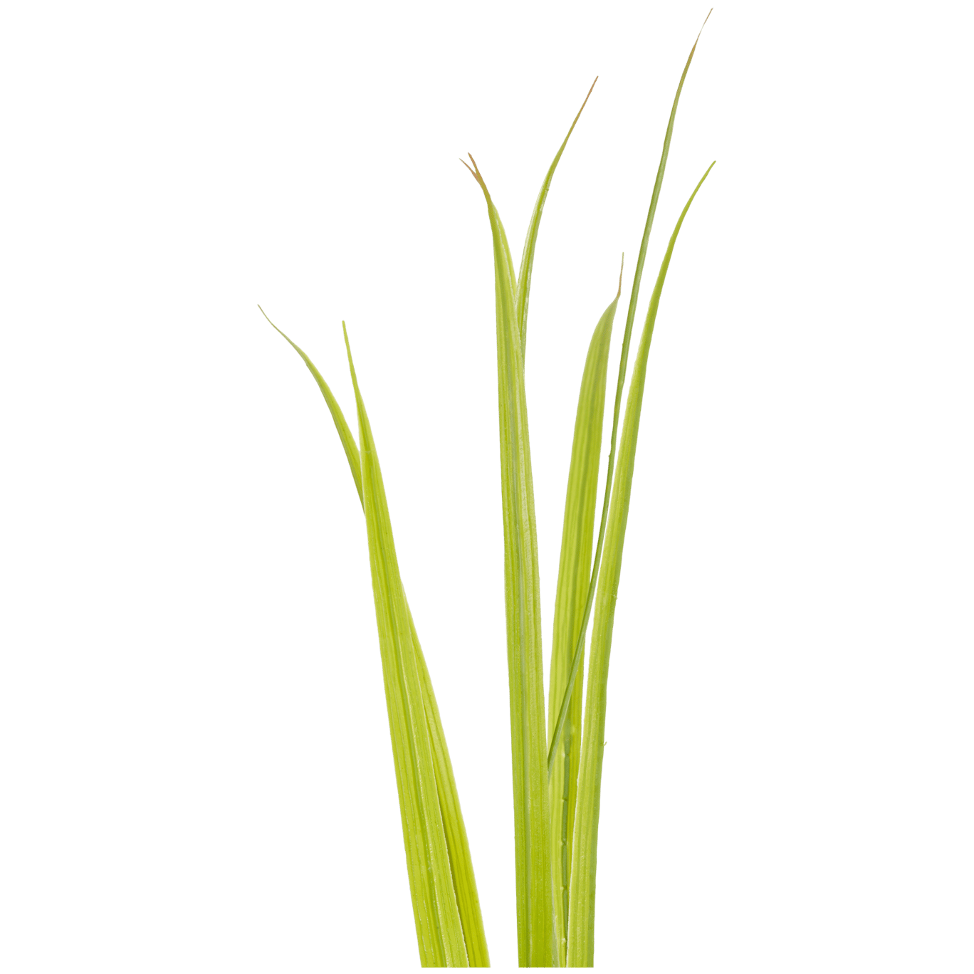 Sztuczny pióropusz trawy