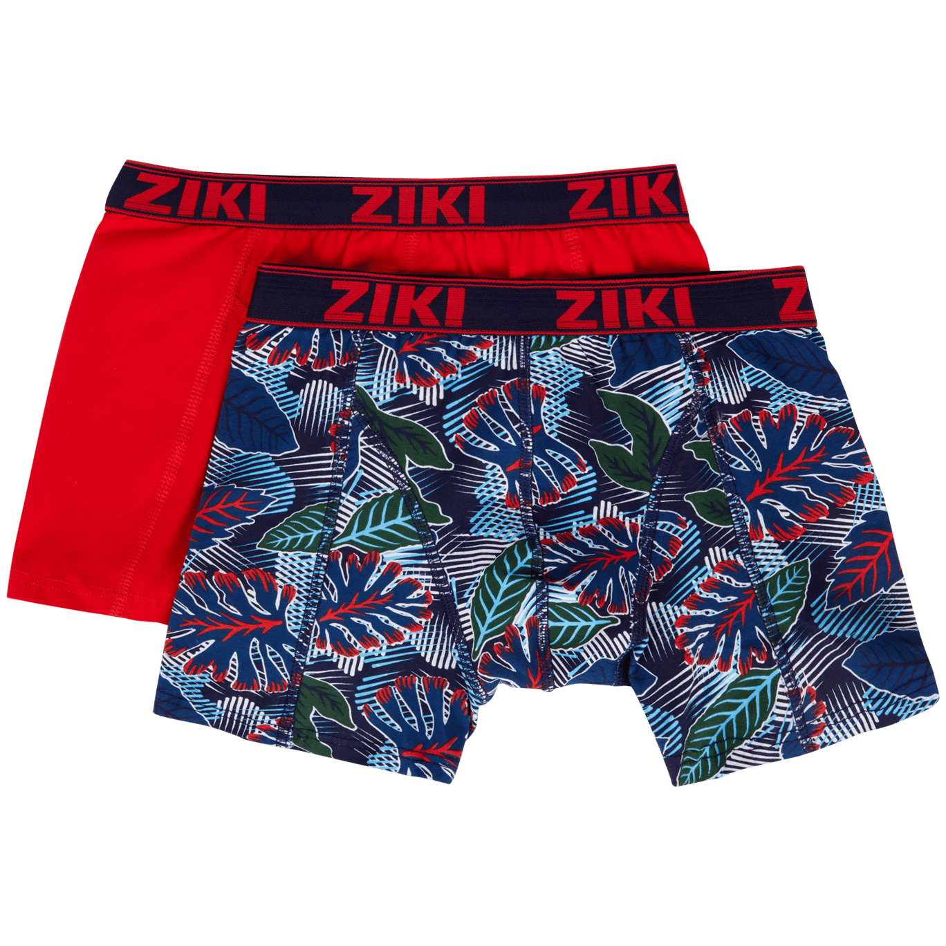 Boxers Ziki