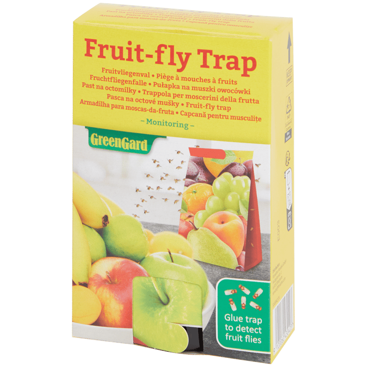 Trampa para moscas de la fruta