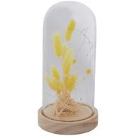 Glasglocke mit Trockenblumen und Lichterkette