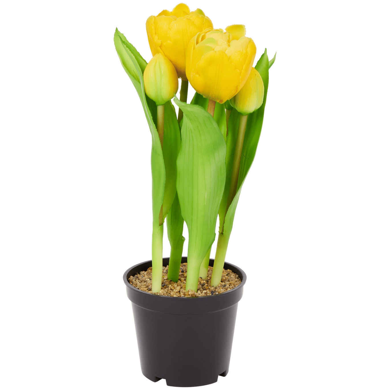 Tulipes artificielles en pot Home Accents