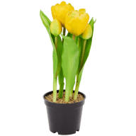 Sztuczne tulipany w doniczce Home Accents