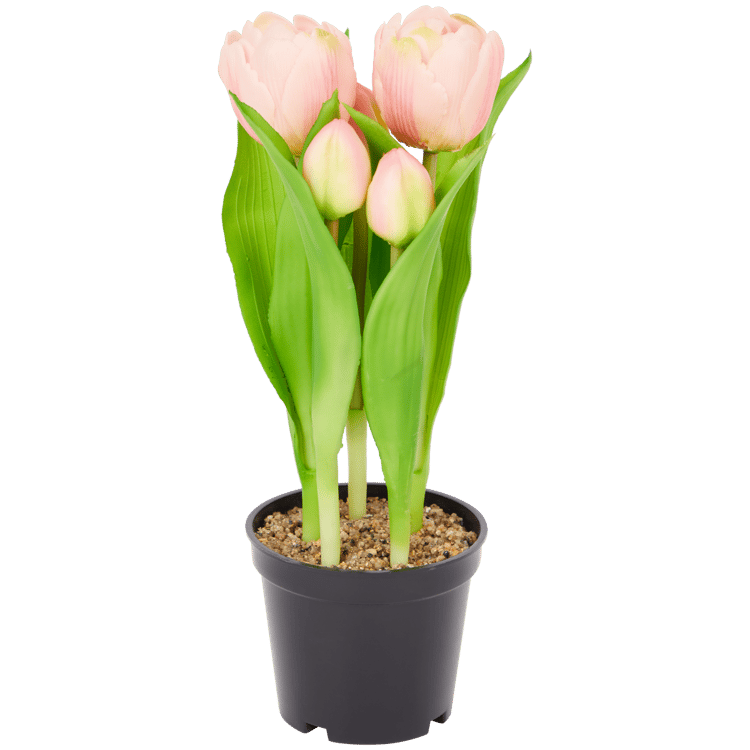 Tulipes artificielles en pot Home Accents