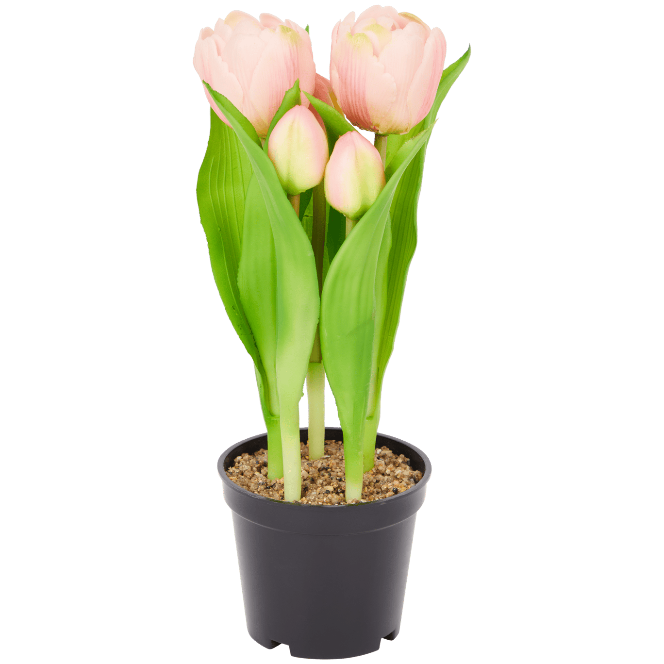 Sztuczne tulipany w doniczce Home Accents