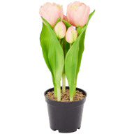 Tulipes artificielles en pot Home Accents