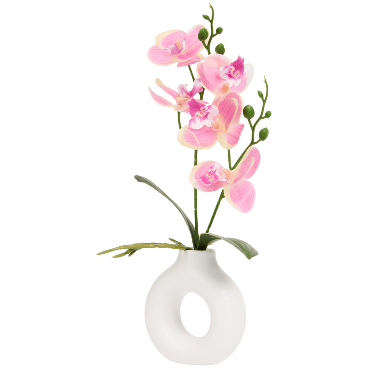 Orchidée dans vase Home Accents