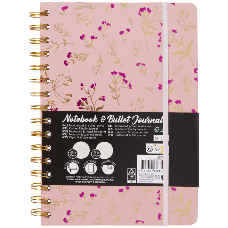 Carnet et bullet journal