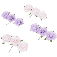 Rose decorative