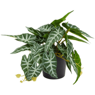 Plante artificielle en pot