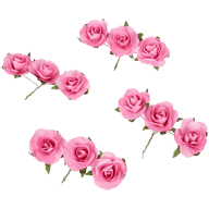 Rosas de papel Decorativo