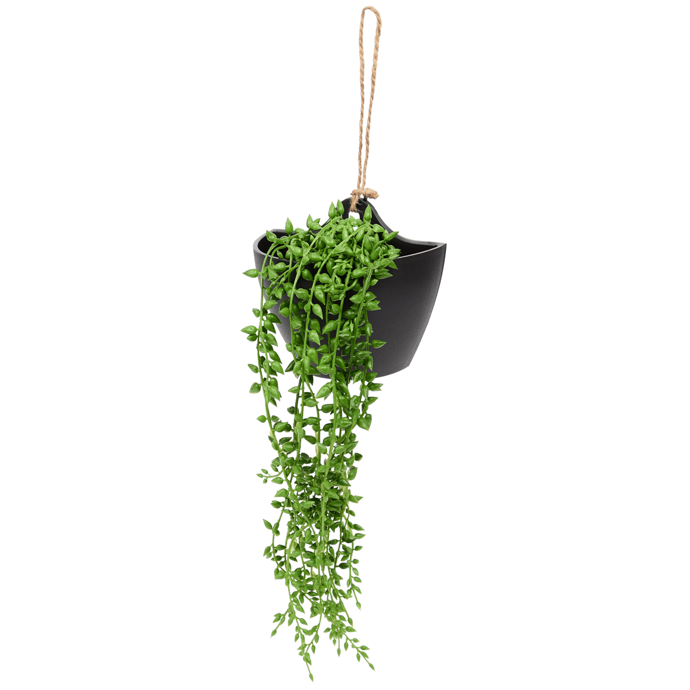 Plante suspendue artificielle