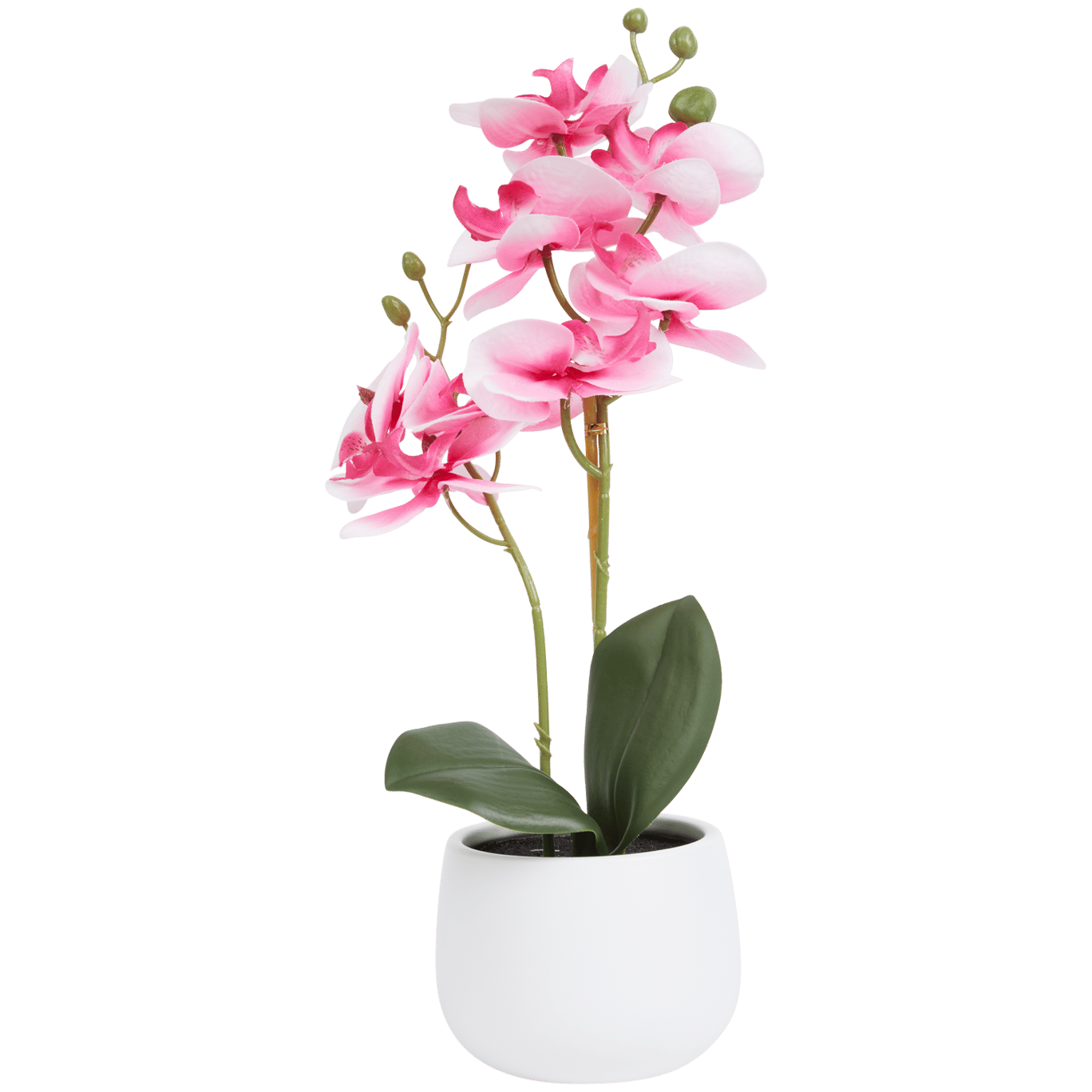 Orchidea finta in vaso Excellent Flowers