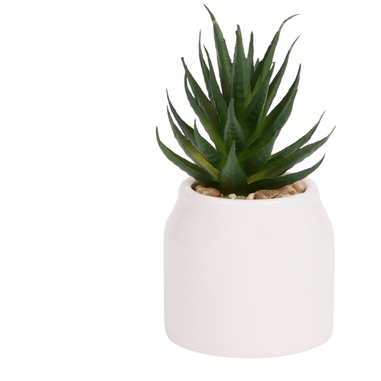 Home Accents kunstvetplantje in pot