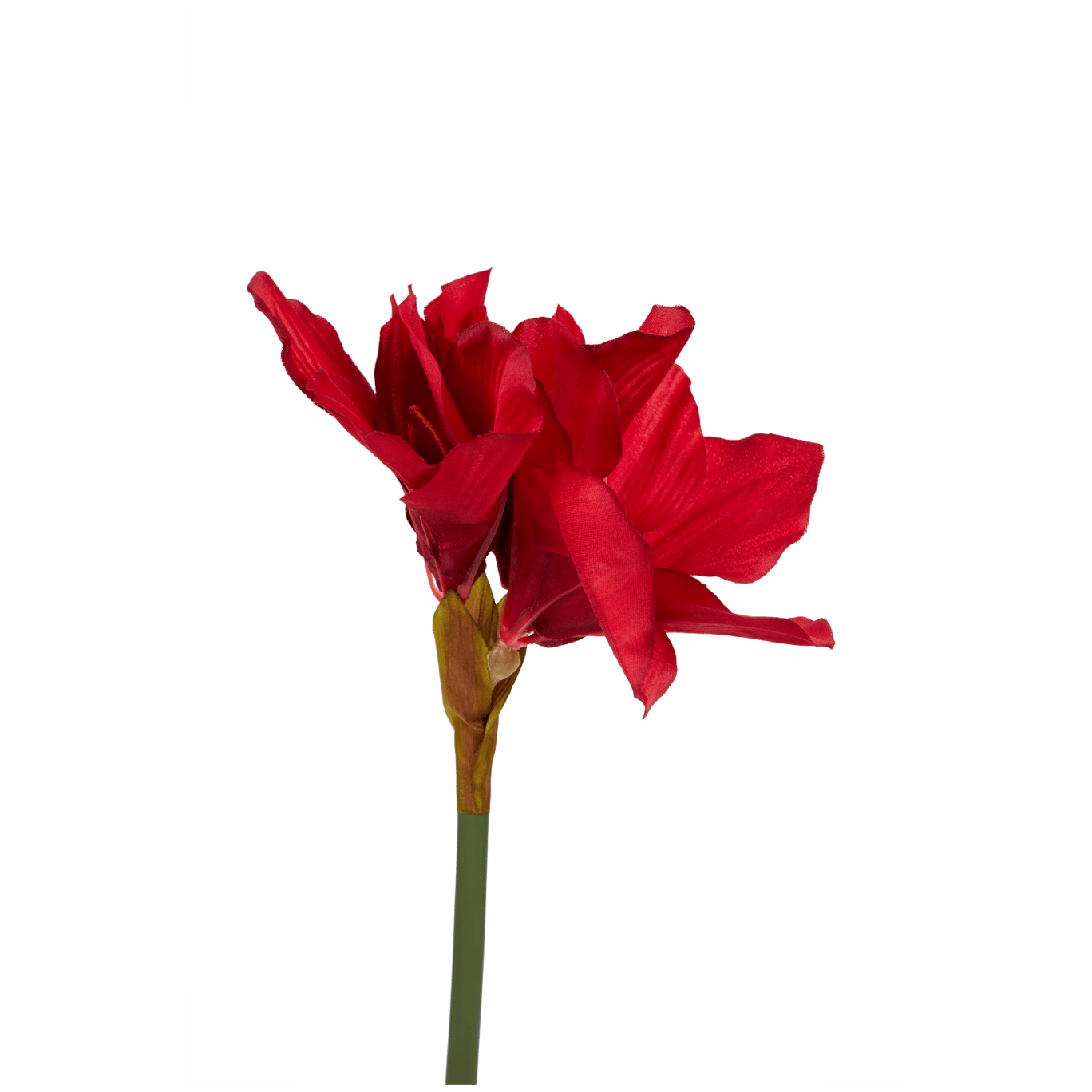 Amaryllis artificiale su stelo