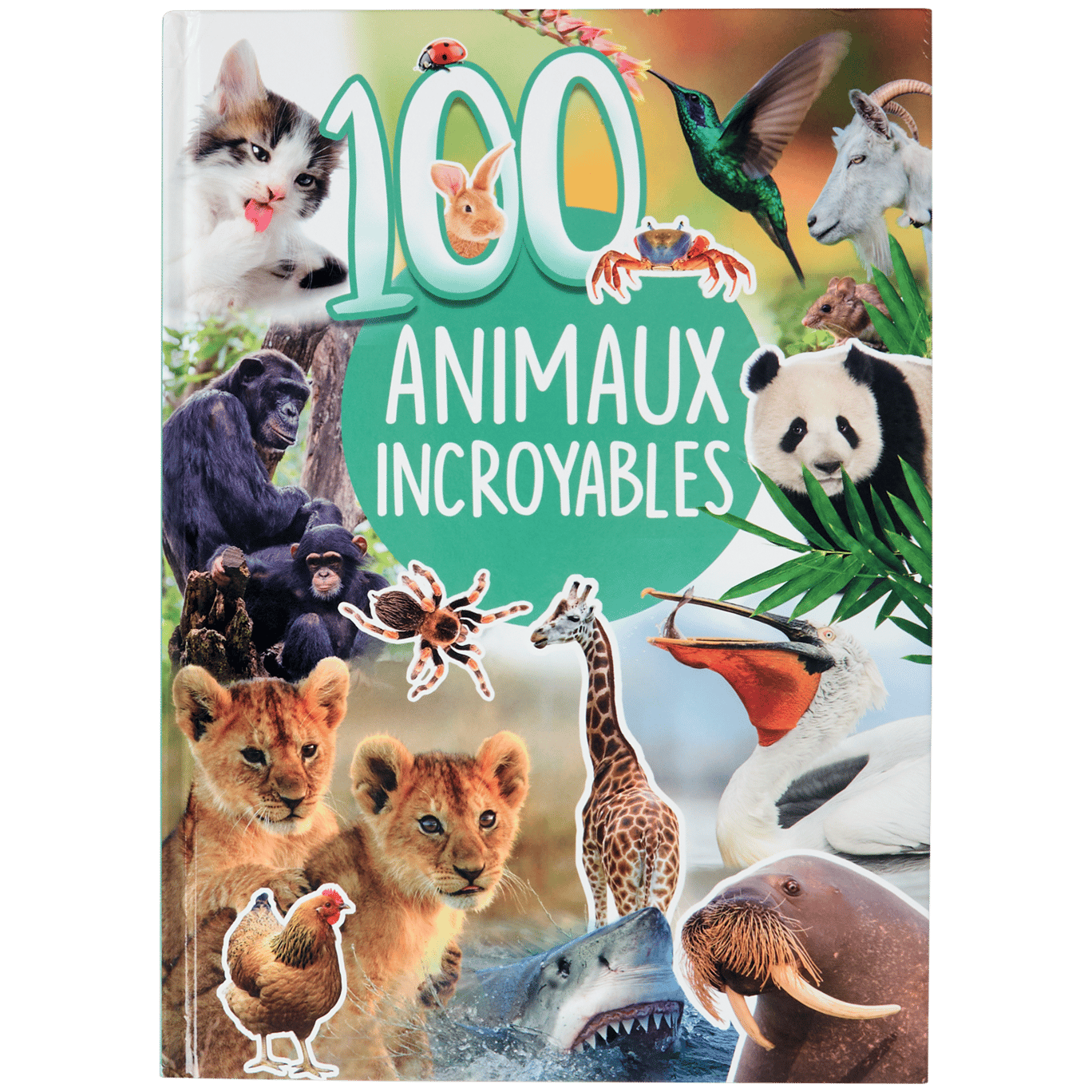 Livre découverte des animaux