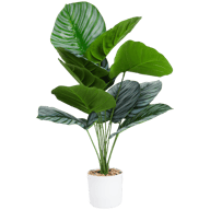 Planta artificial