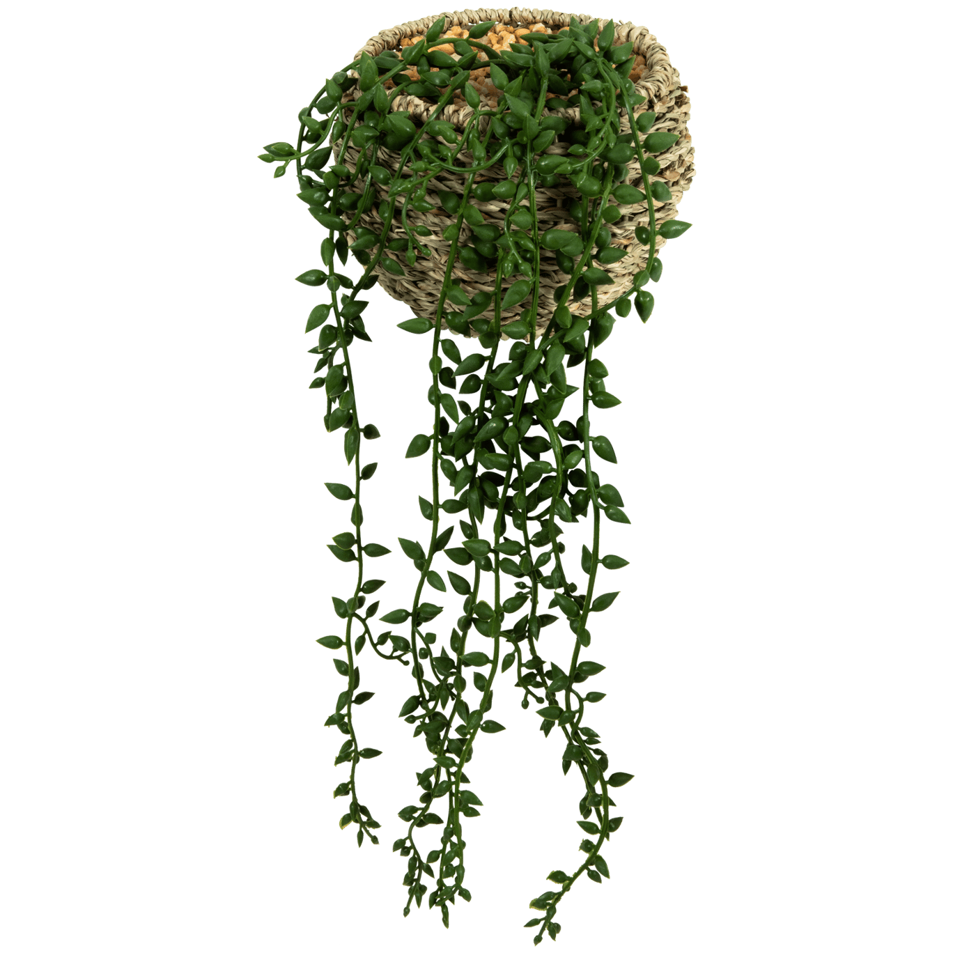 Plante artificielle dans une suspension
