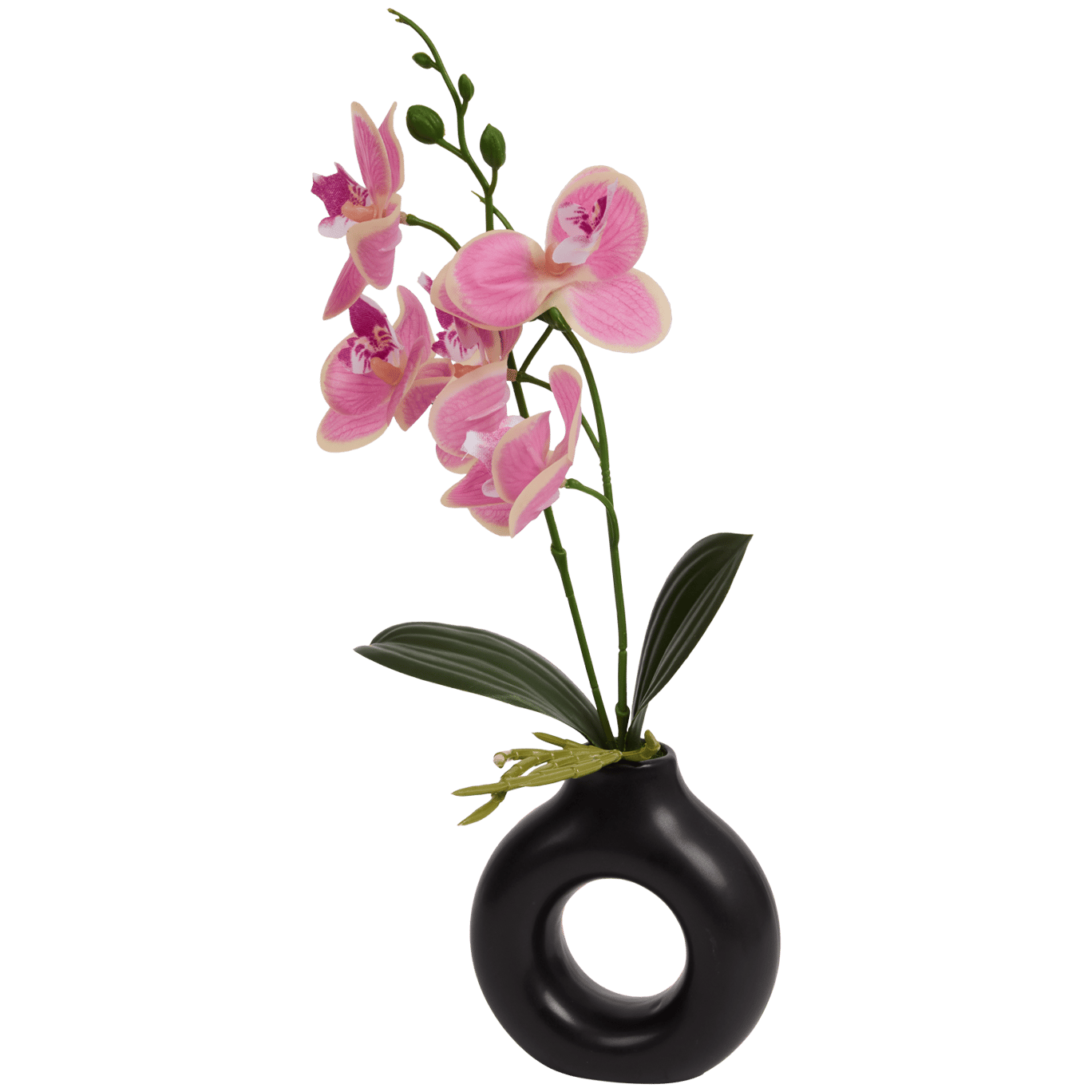 Home Accents orchidee in vaas