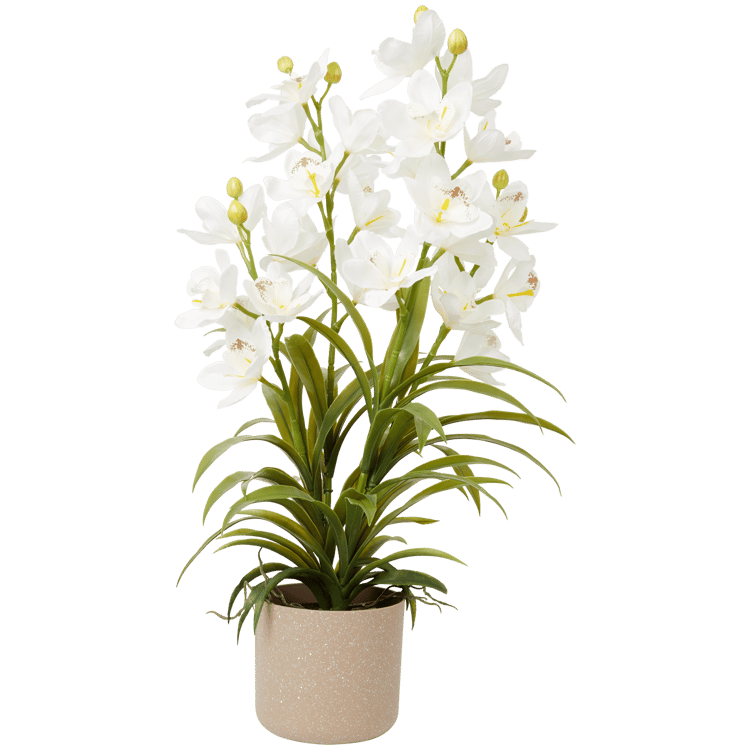 Home Accents Künstliche Orchidee im Topf