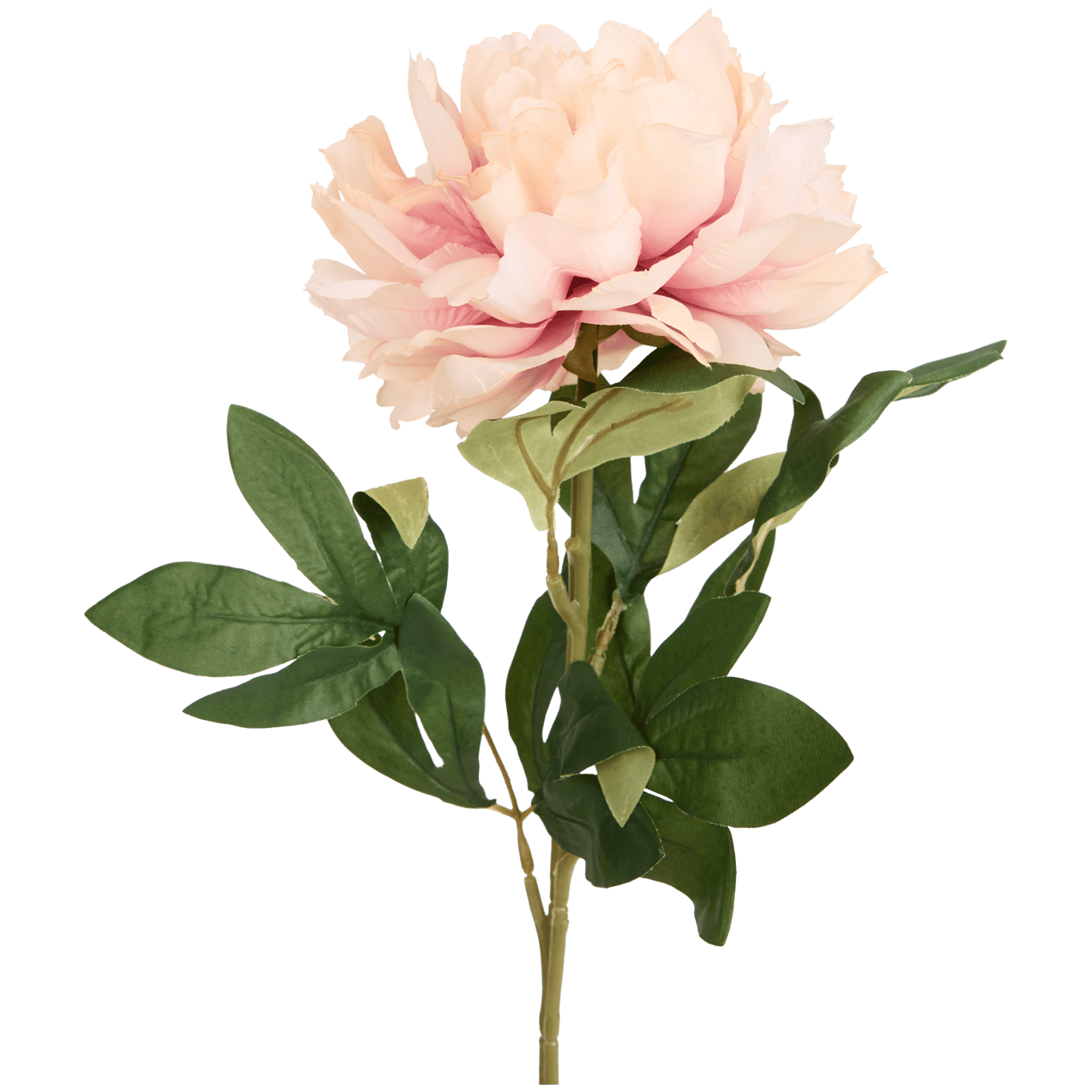 Pivoine artificielle sur tige