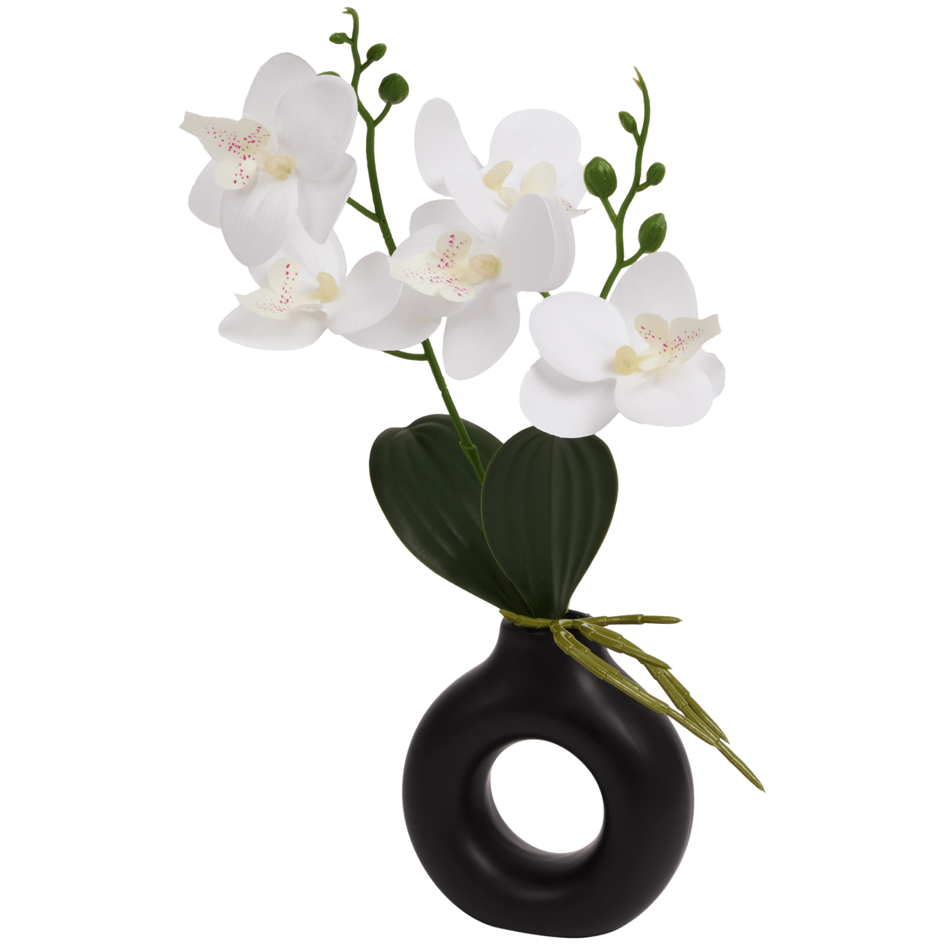 Home Accents orchidee in vaas