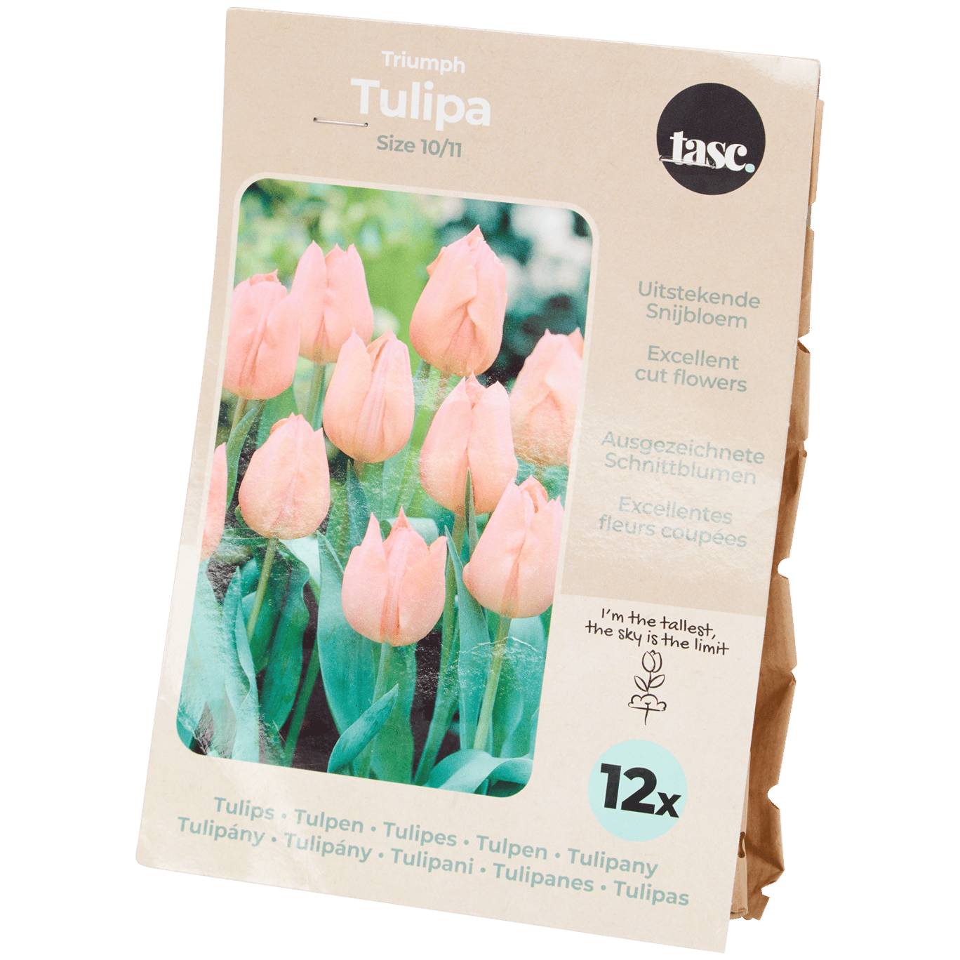 Bulbes de tulipe