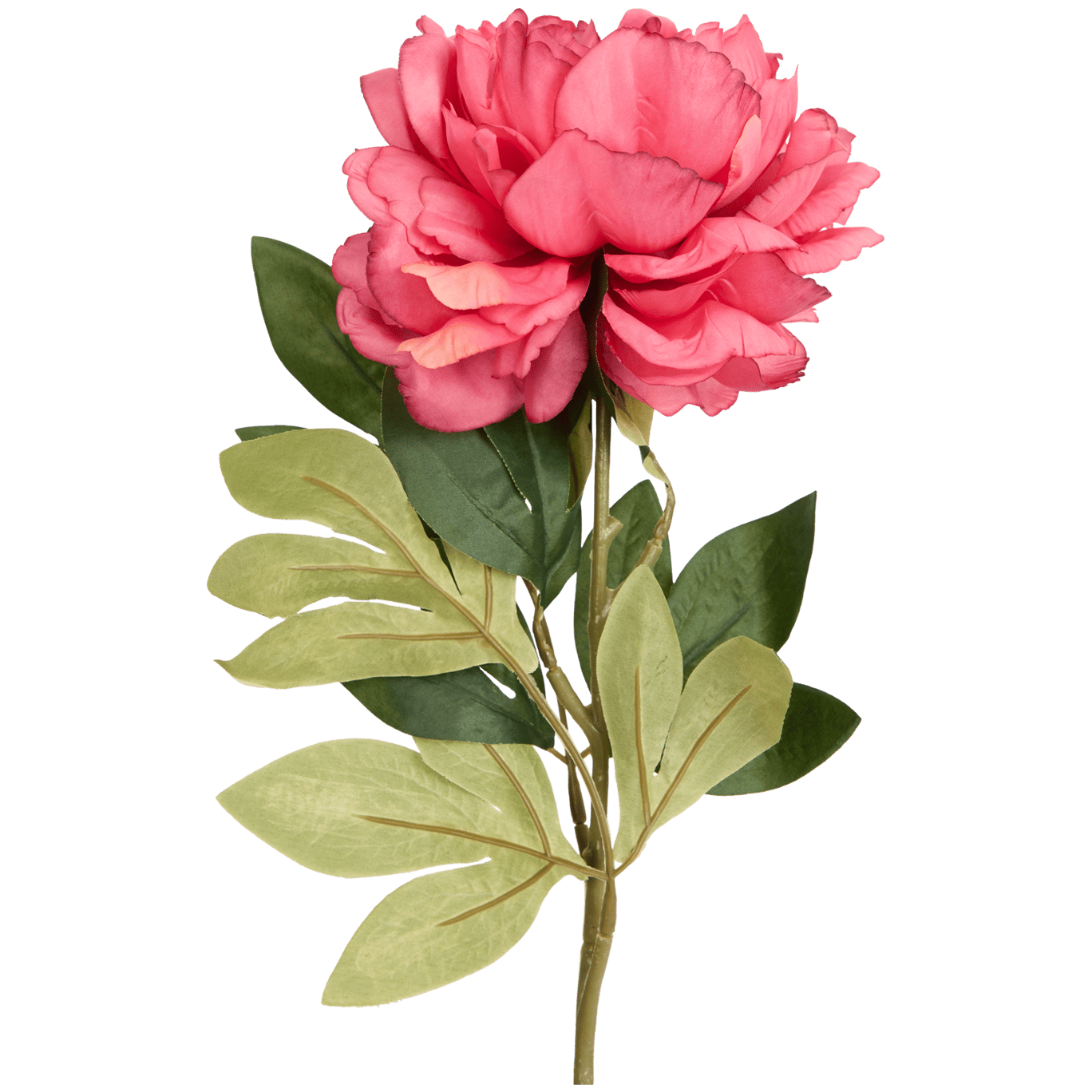 Pivoine artificielle sur tige