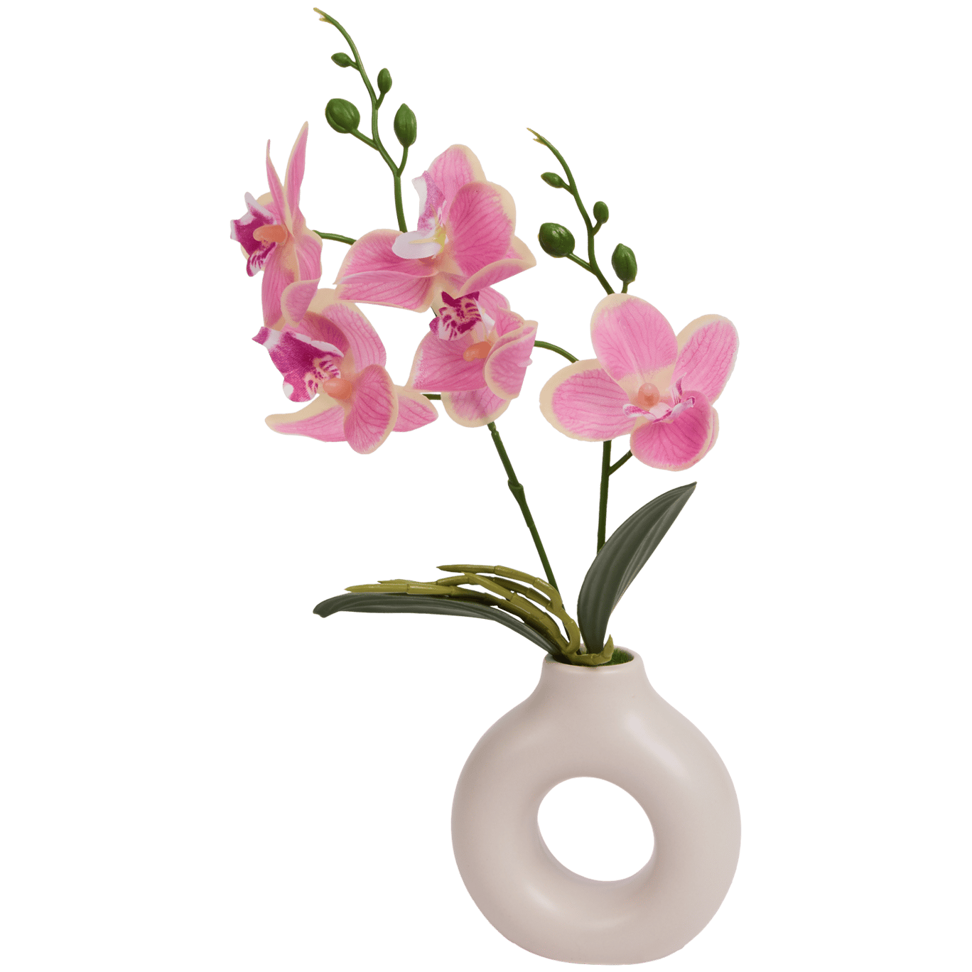 Home Accents orchidee in vaas