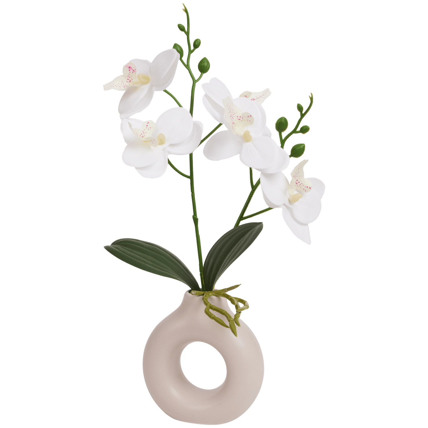 Home Accents orchidee in vaas