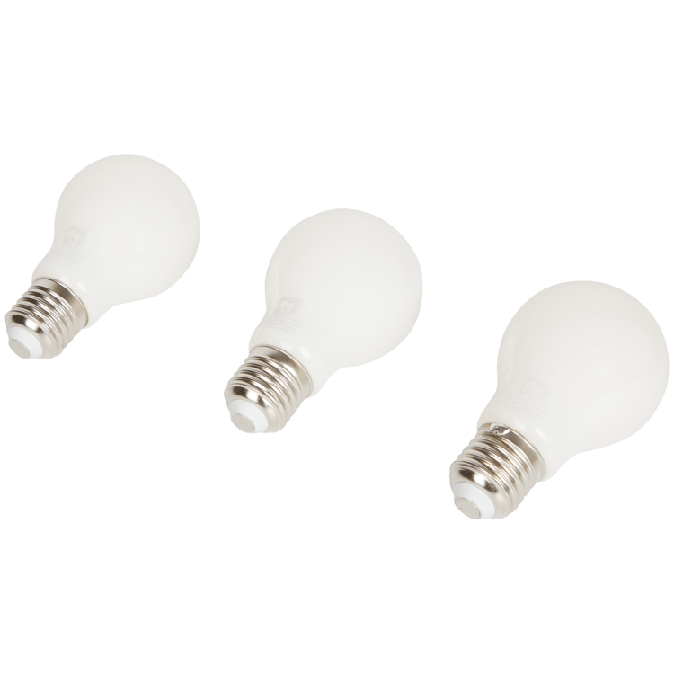 Ampoules LED à intensité variable LSC