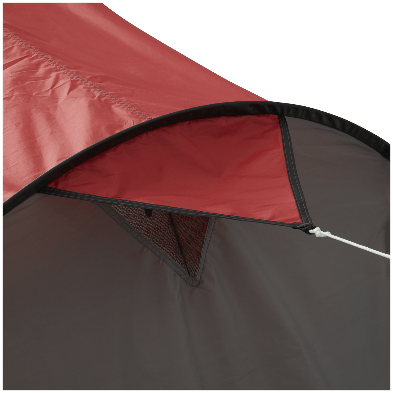 Rode datum beneden Tulpen Froyak pop-up tent | Action.com