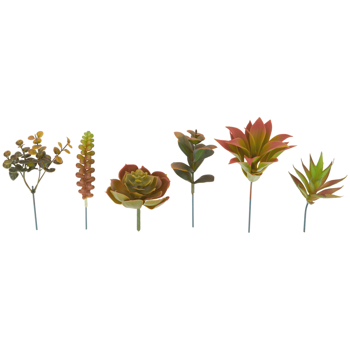 Plantes grasses artificielles Home Accents