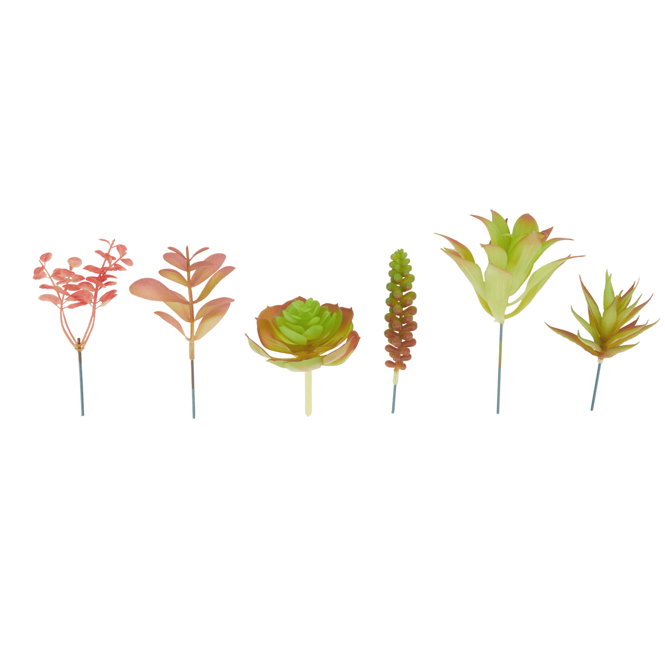 Plantes grasses artificielles Home Accents